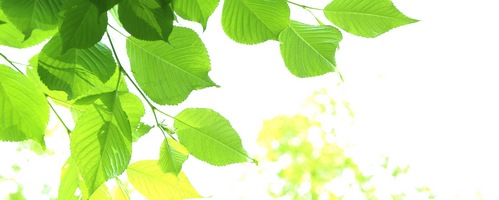 Dr.Senobiru �h�N�^�[�Z�m�r���̔��T�C�g��